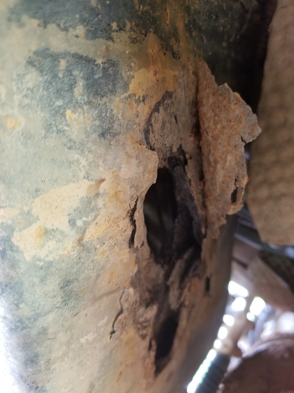20180819_135126.jpg