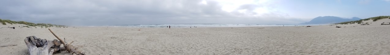 20180819_174315.jpg