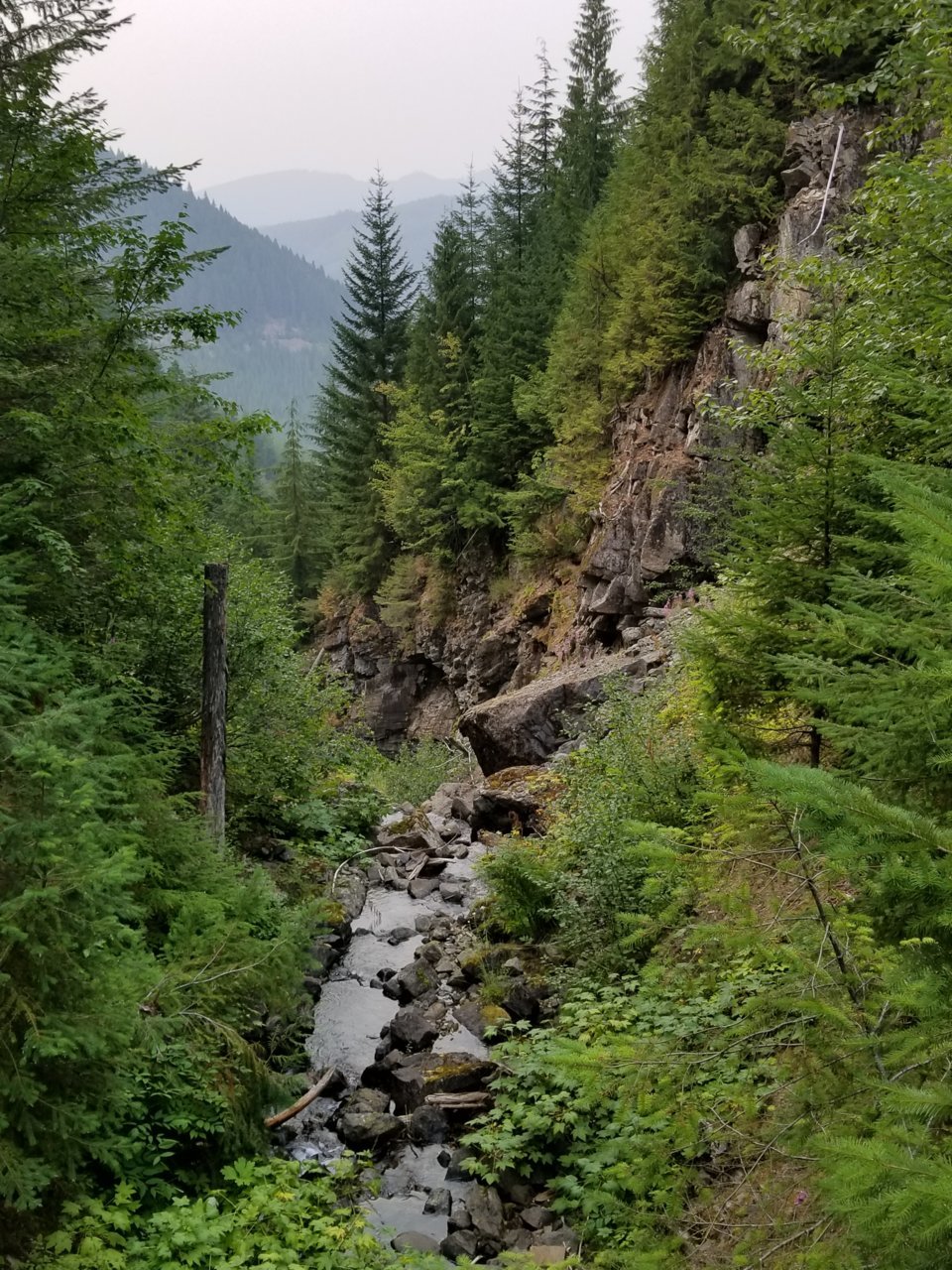 20180819_185919.jpg