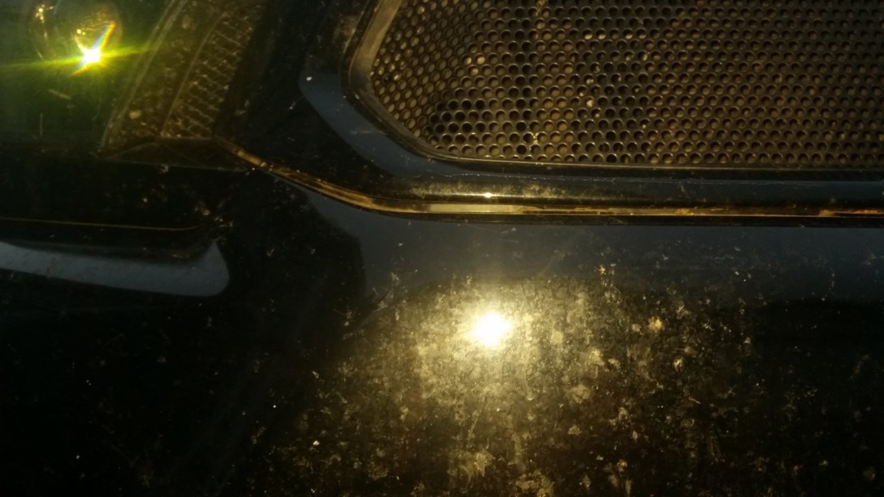 20180819_200259.jpg