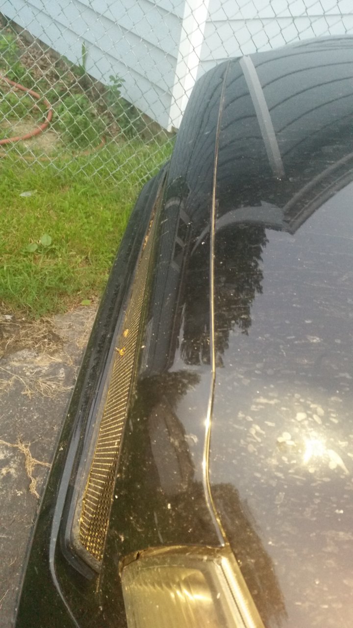 20180819_200309.jpg