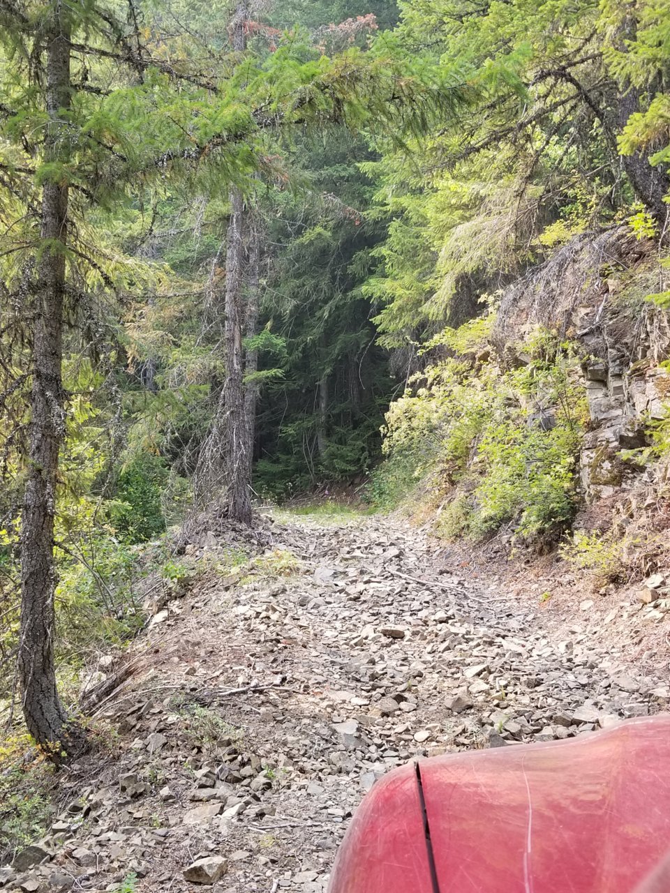 20180820_151910.jpg