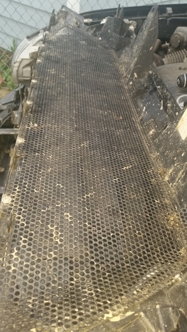 20180820_184521.jpg