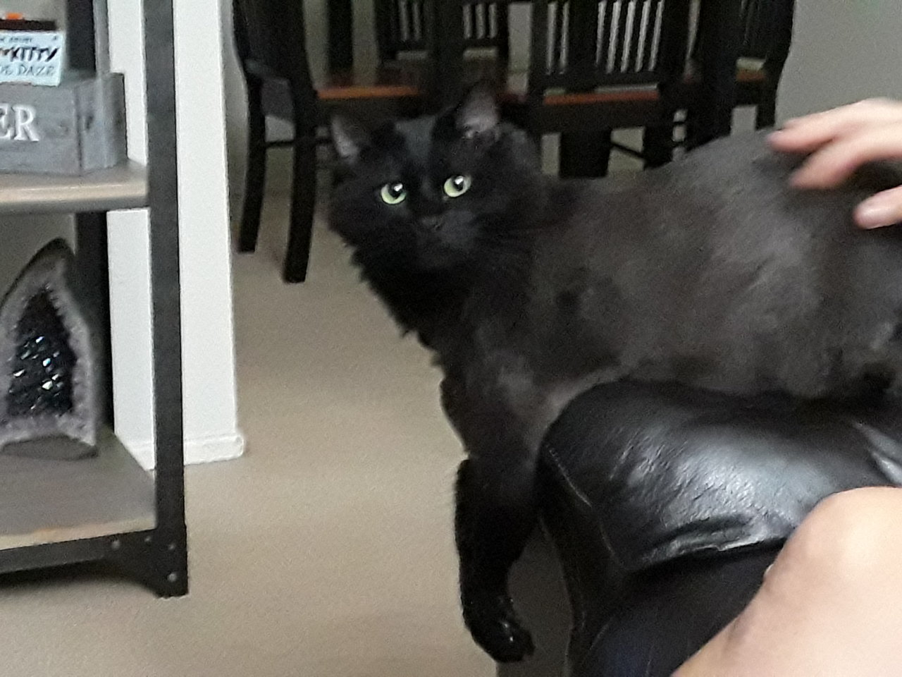 20180820_203018.jpg