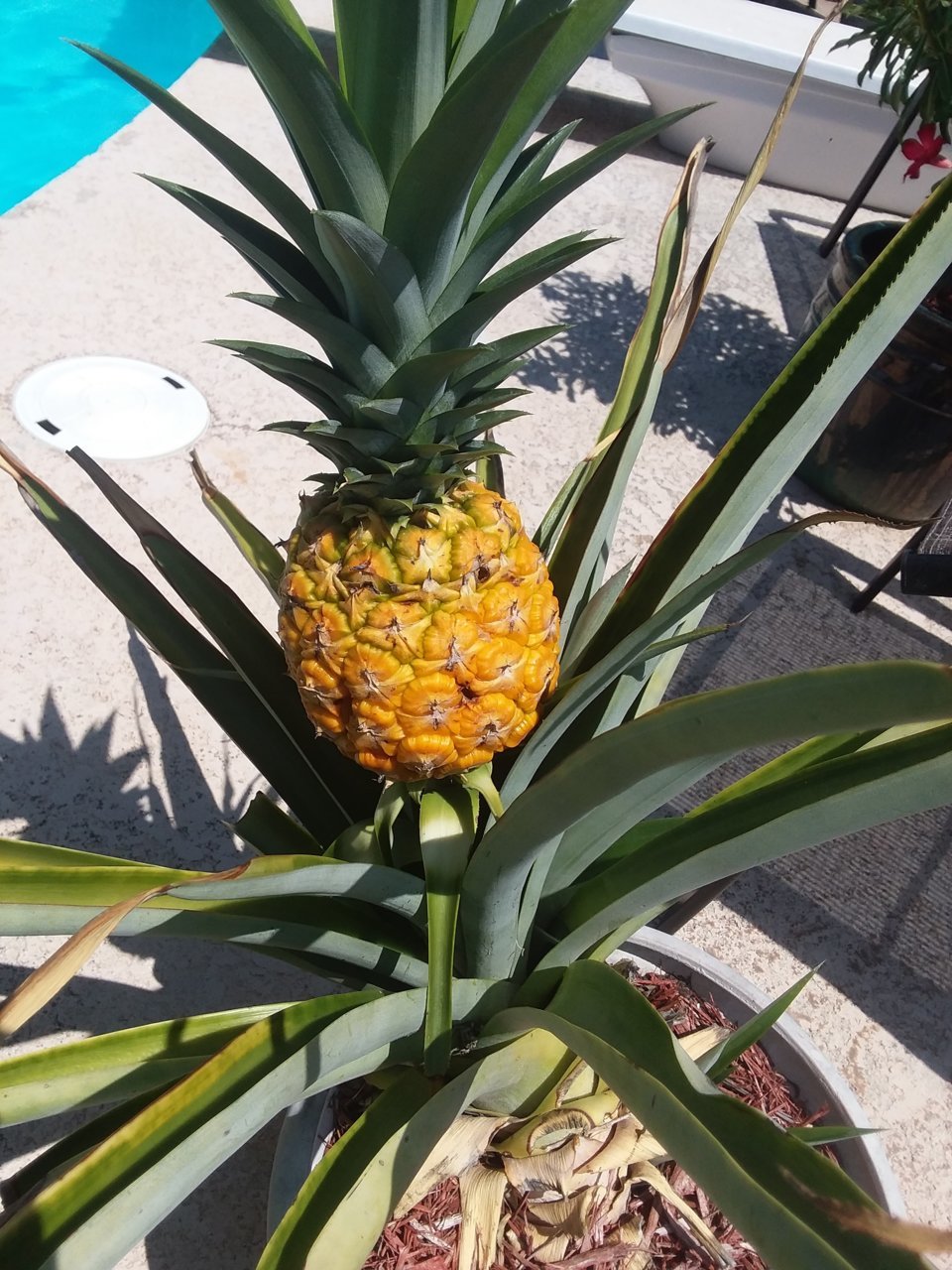 20180821_121132.jpg