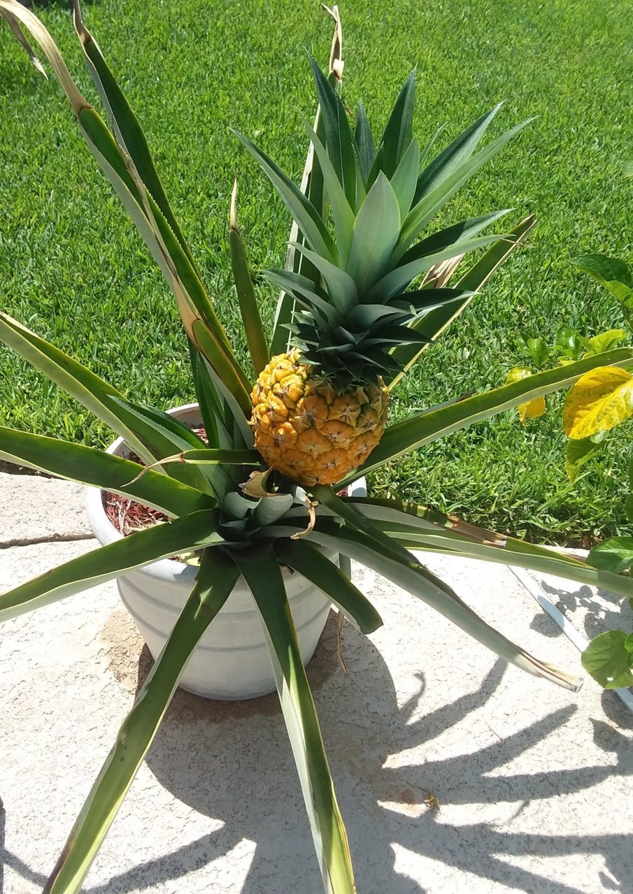 20180821_121151.jpg