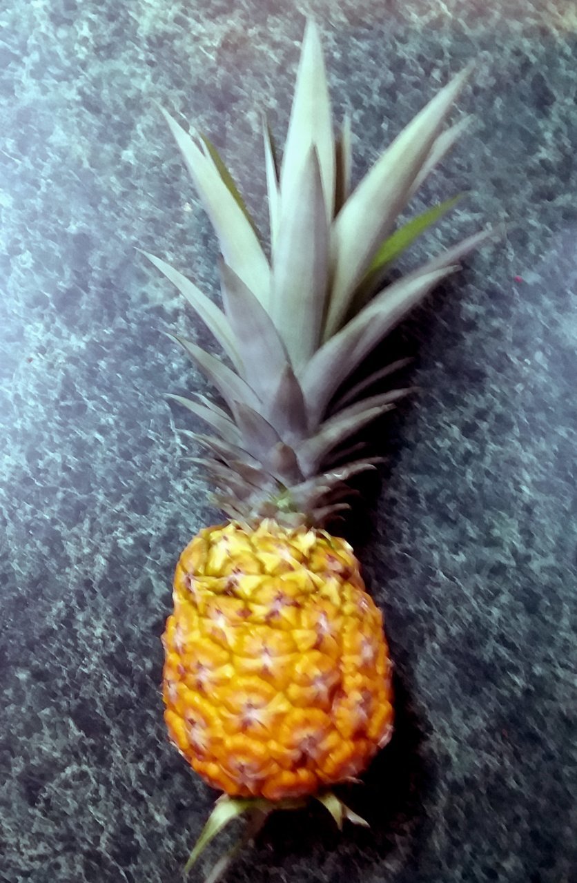 20180821_121429.jpg