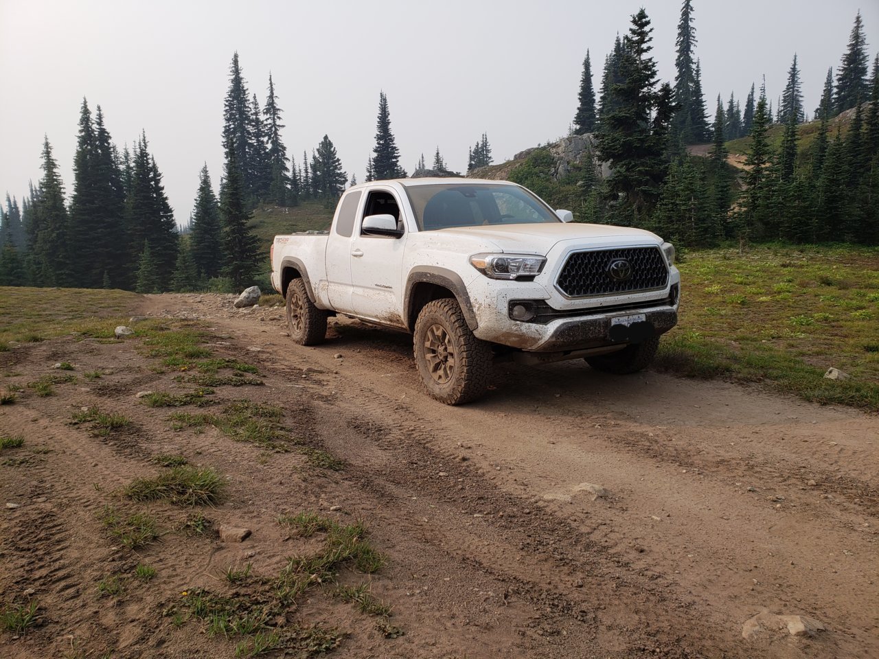 20180821_130129.jpg