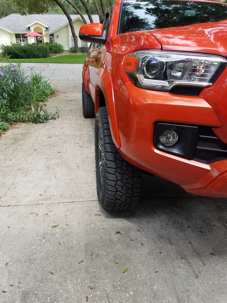 20180821_142708.jpg