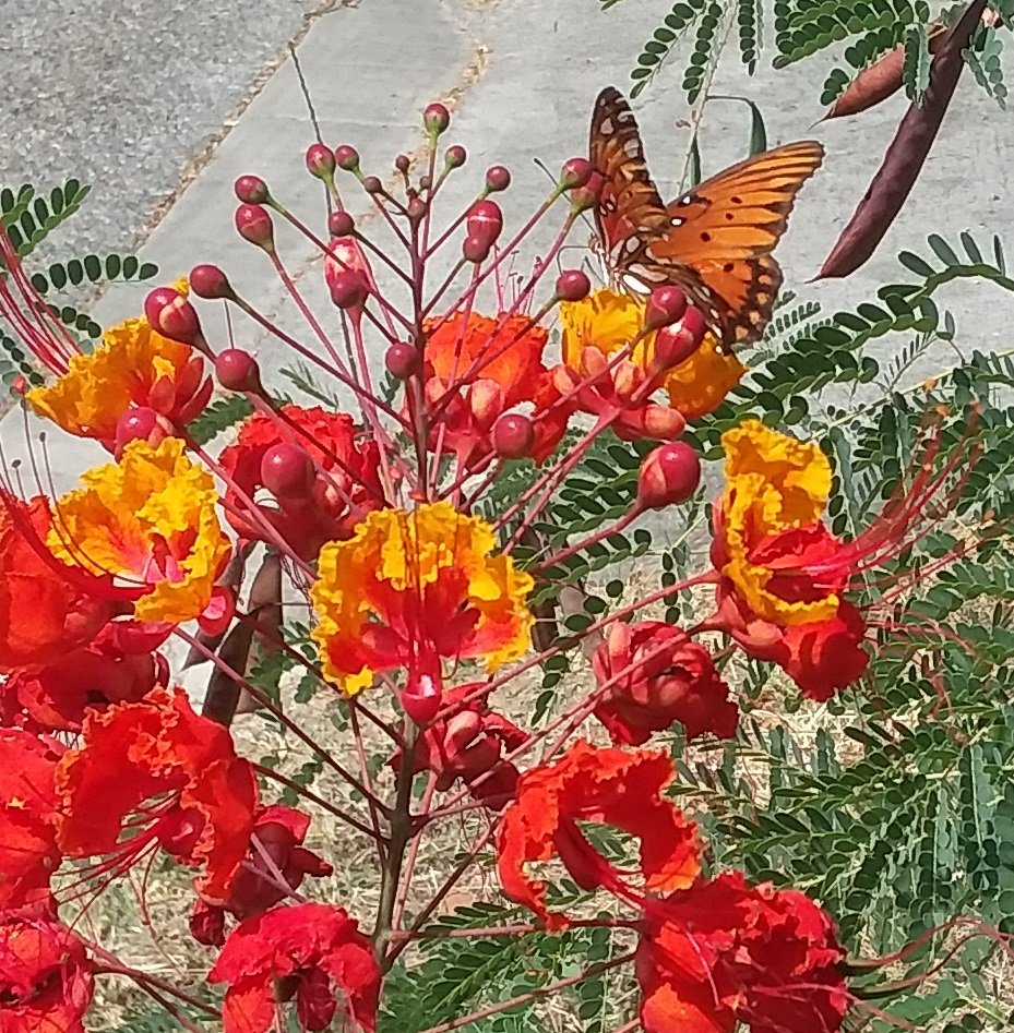 20180822_114600-1.jpg