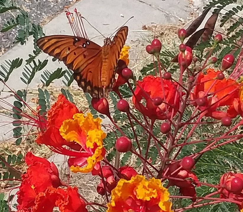 20180822_114626-1.jpg