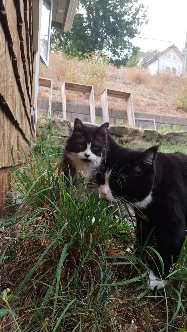 20180823_080939.jpg