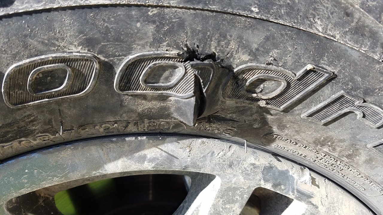20180823_093812.jpg