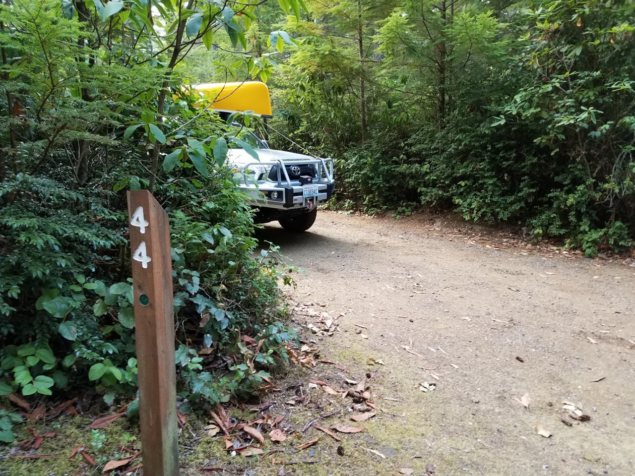 20180823_171335.jpg