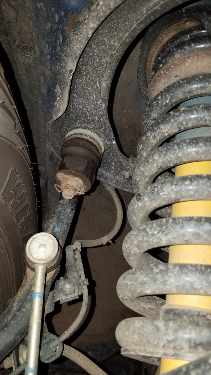 20180824_114049.jpg