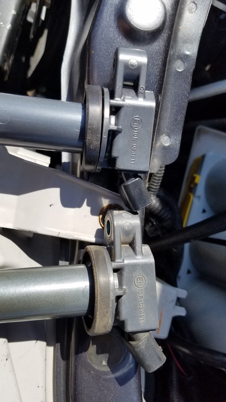 20180824_151323.jpg