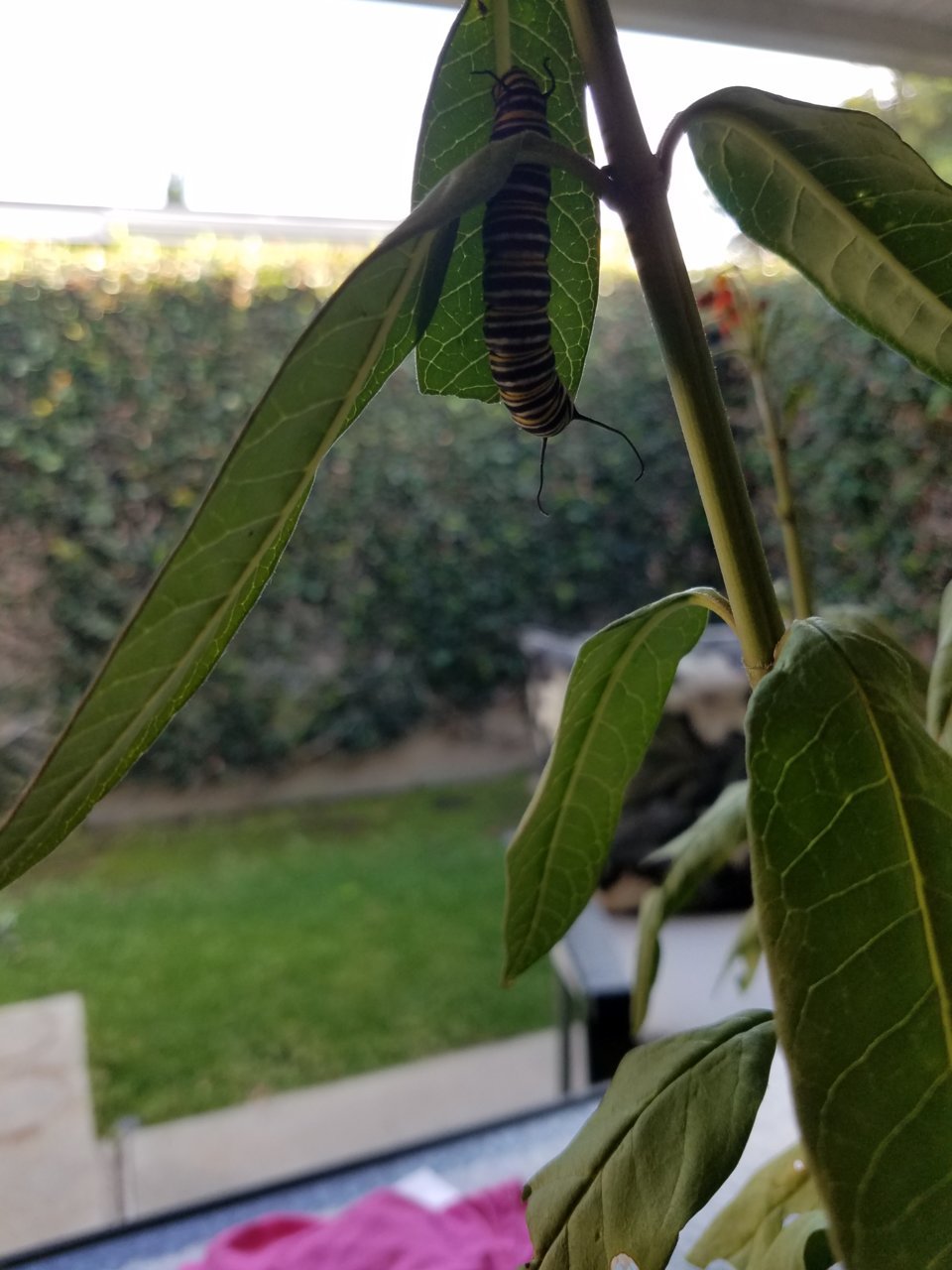 20180824_172014.jpg