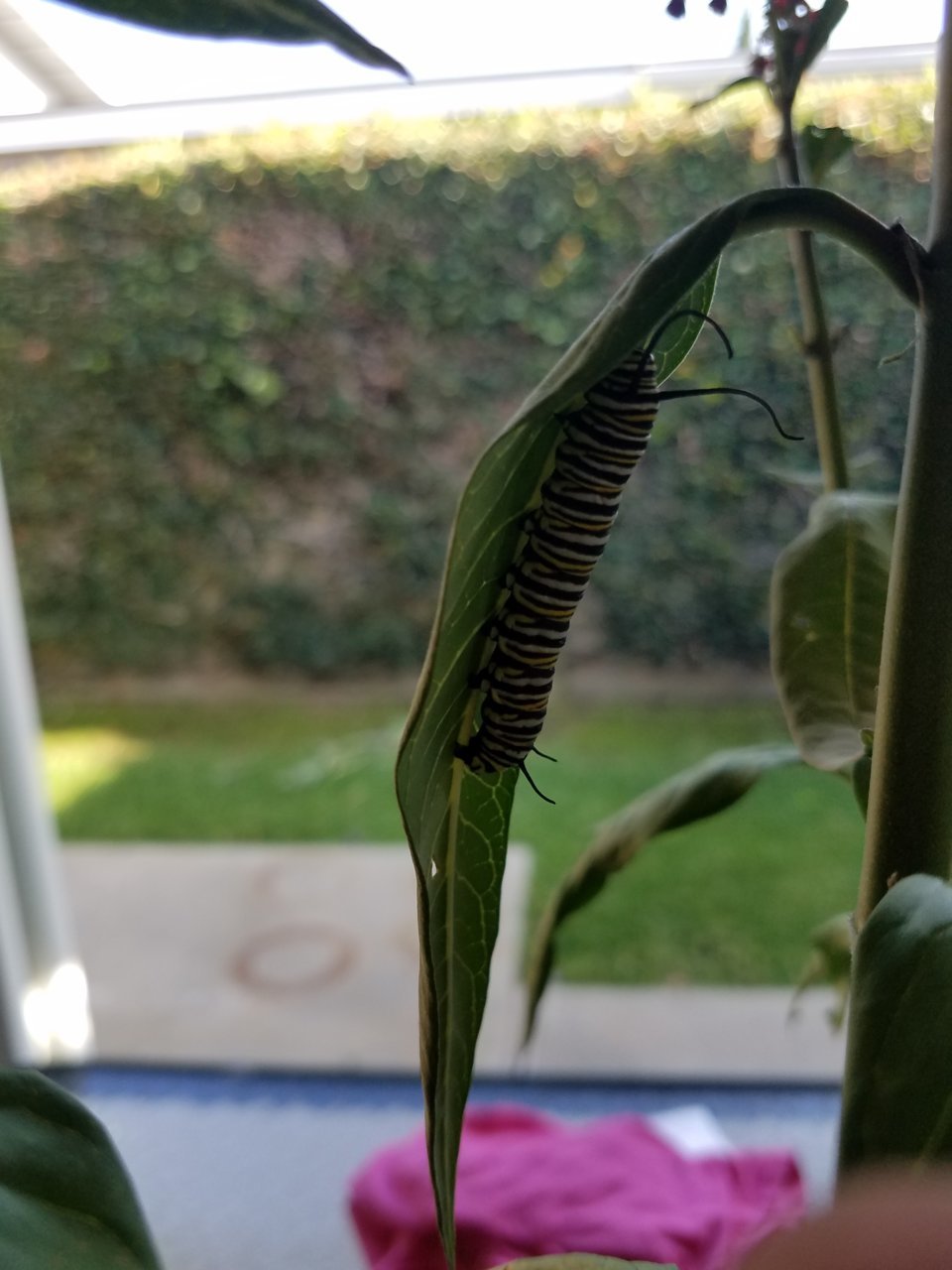20180824_172125.jpg