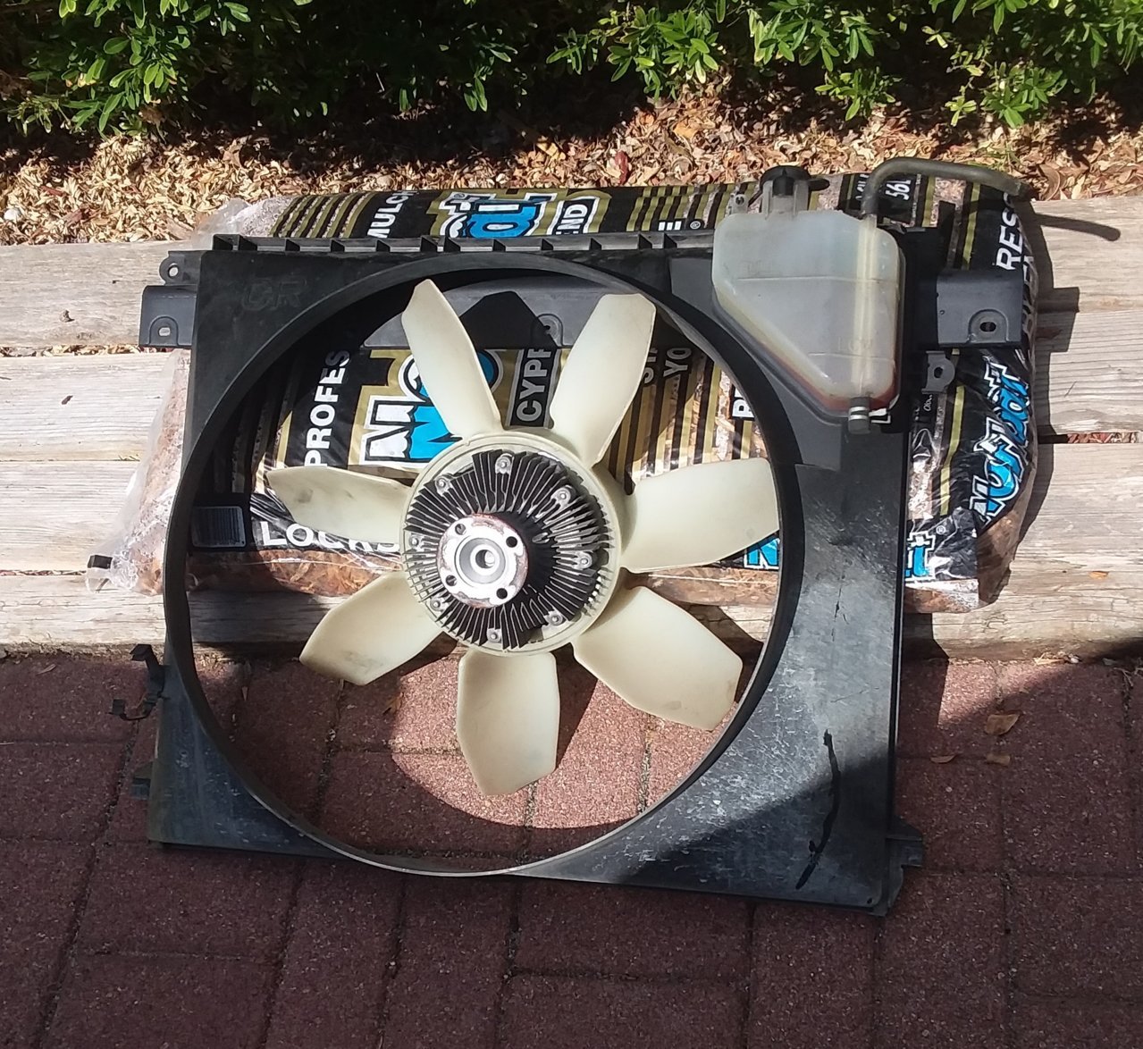 20180825_104341.jpg