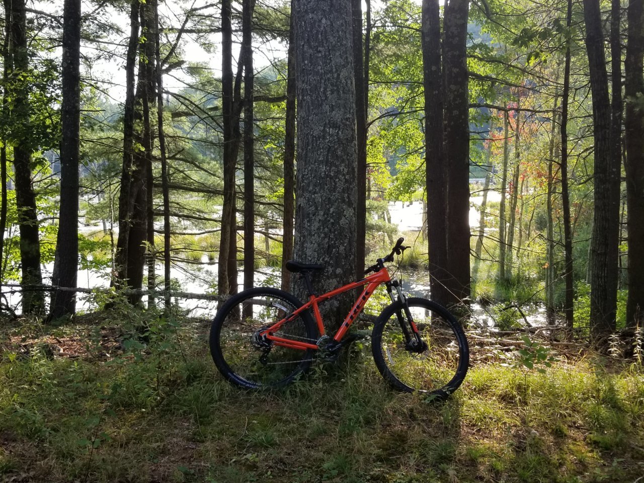 20180825_173721.jpg