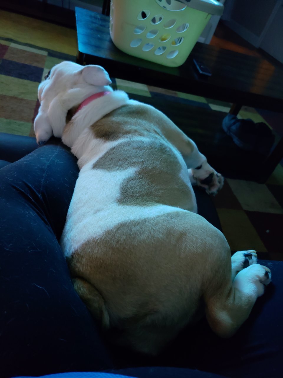 20180825_224756.jpg