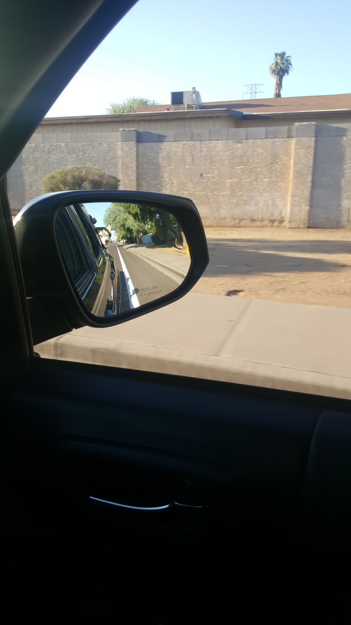 20180826_070028.jpg