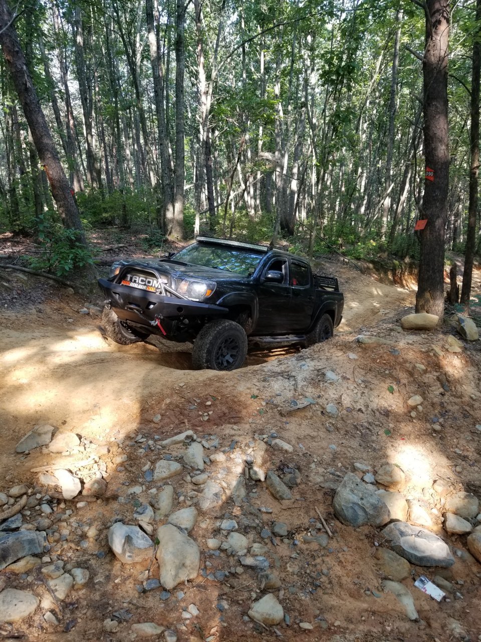 20180826_094533.jpg