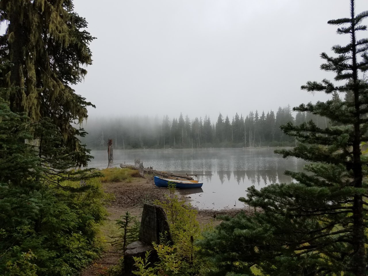 20180826_103736.jpg
