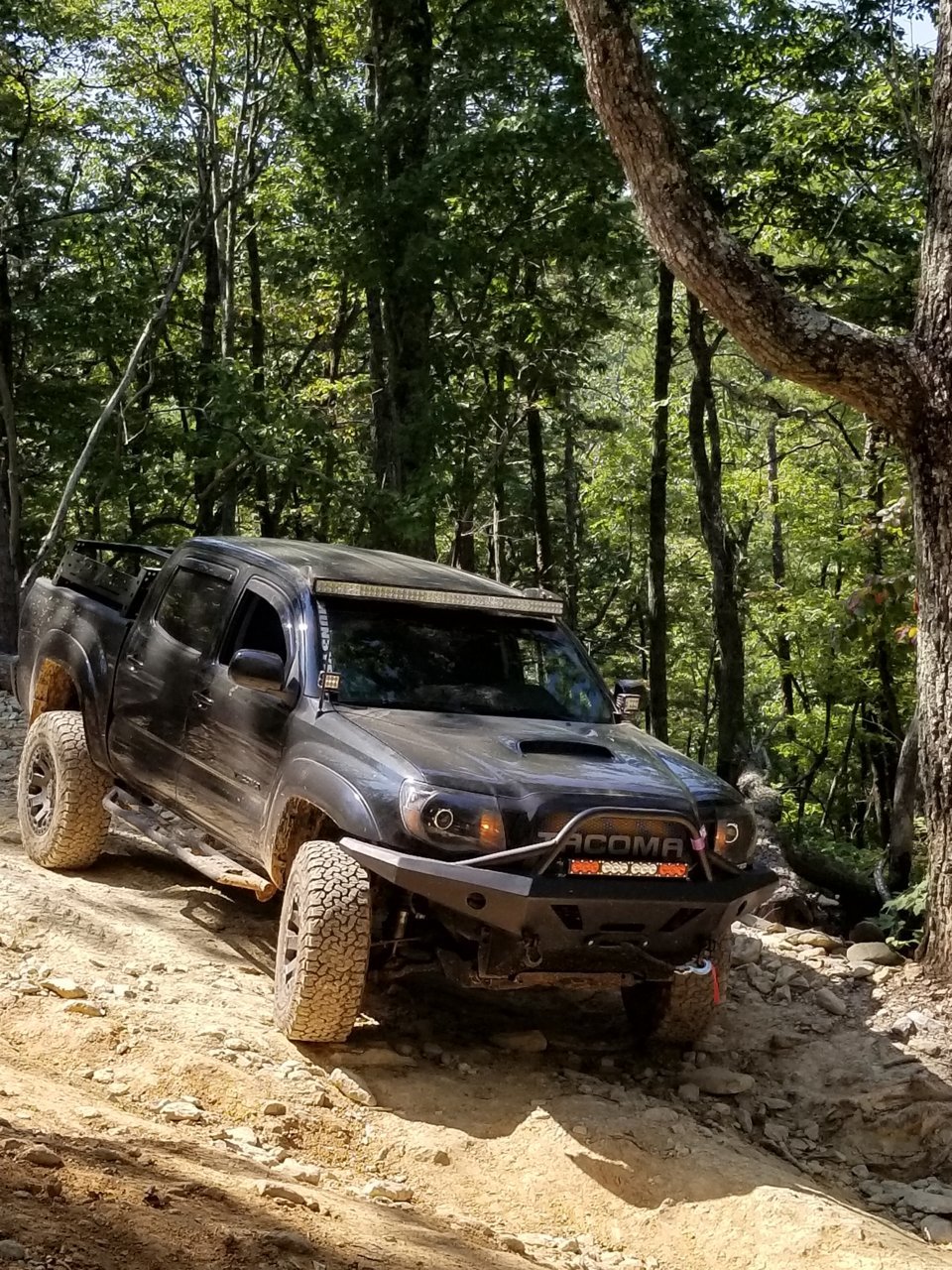 20180826_112720.jpg