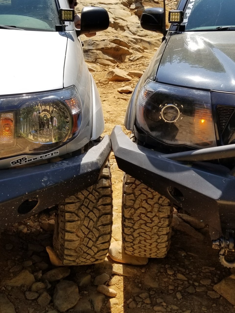 20180826_114233.jpg