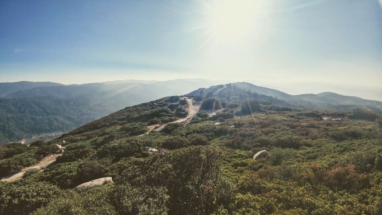 20180826_173707_HDR~2.jpg