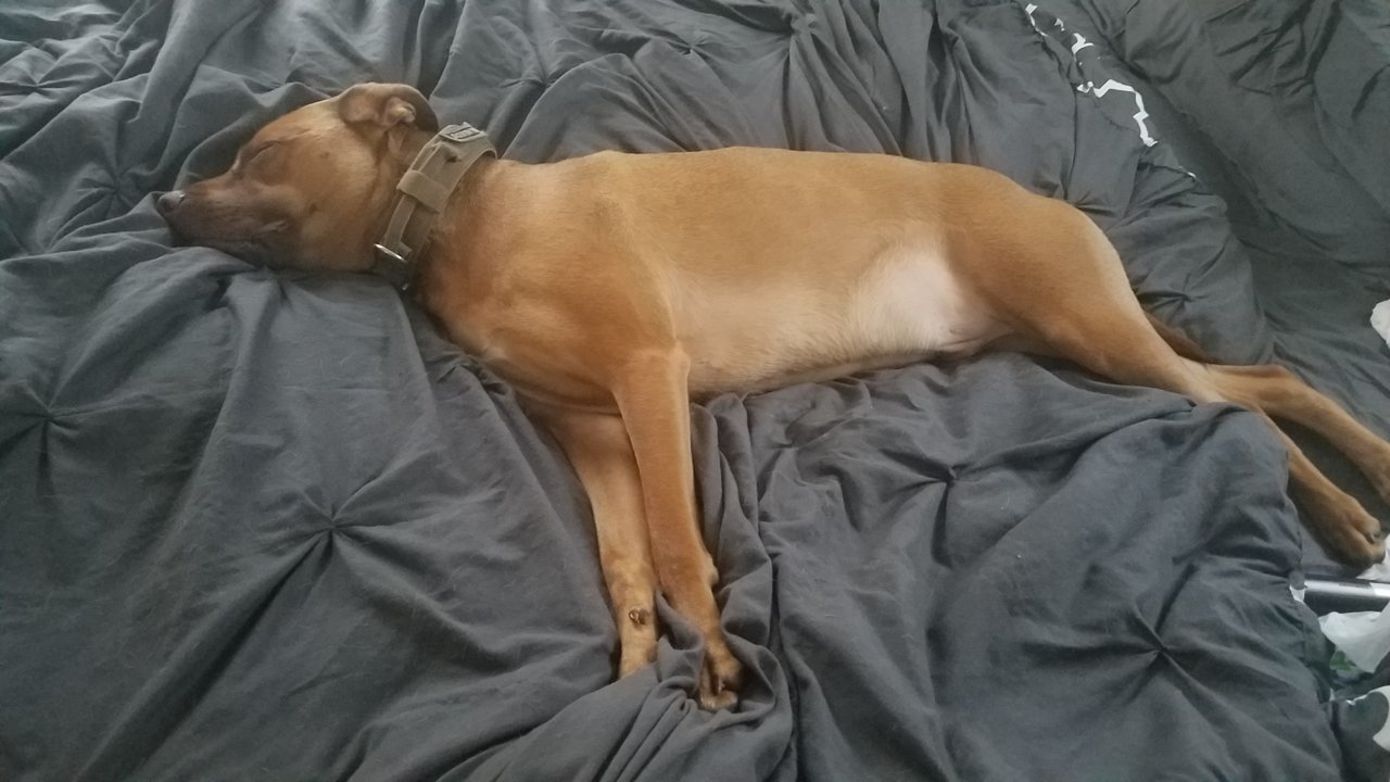 20180826_174932.jpg