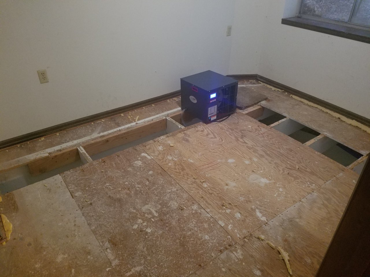 20180826_190440.jpg