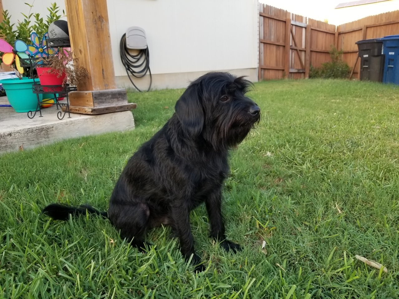 20180826_193038.jpg