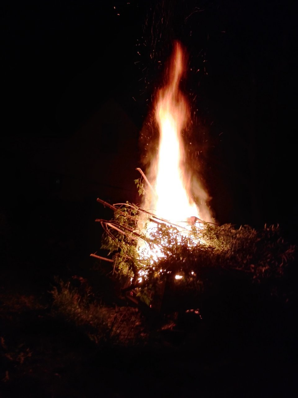 20180826_211004_HDR.jpg