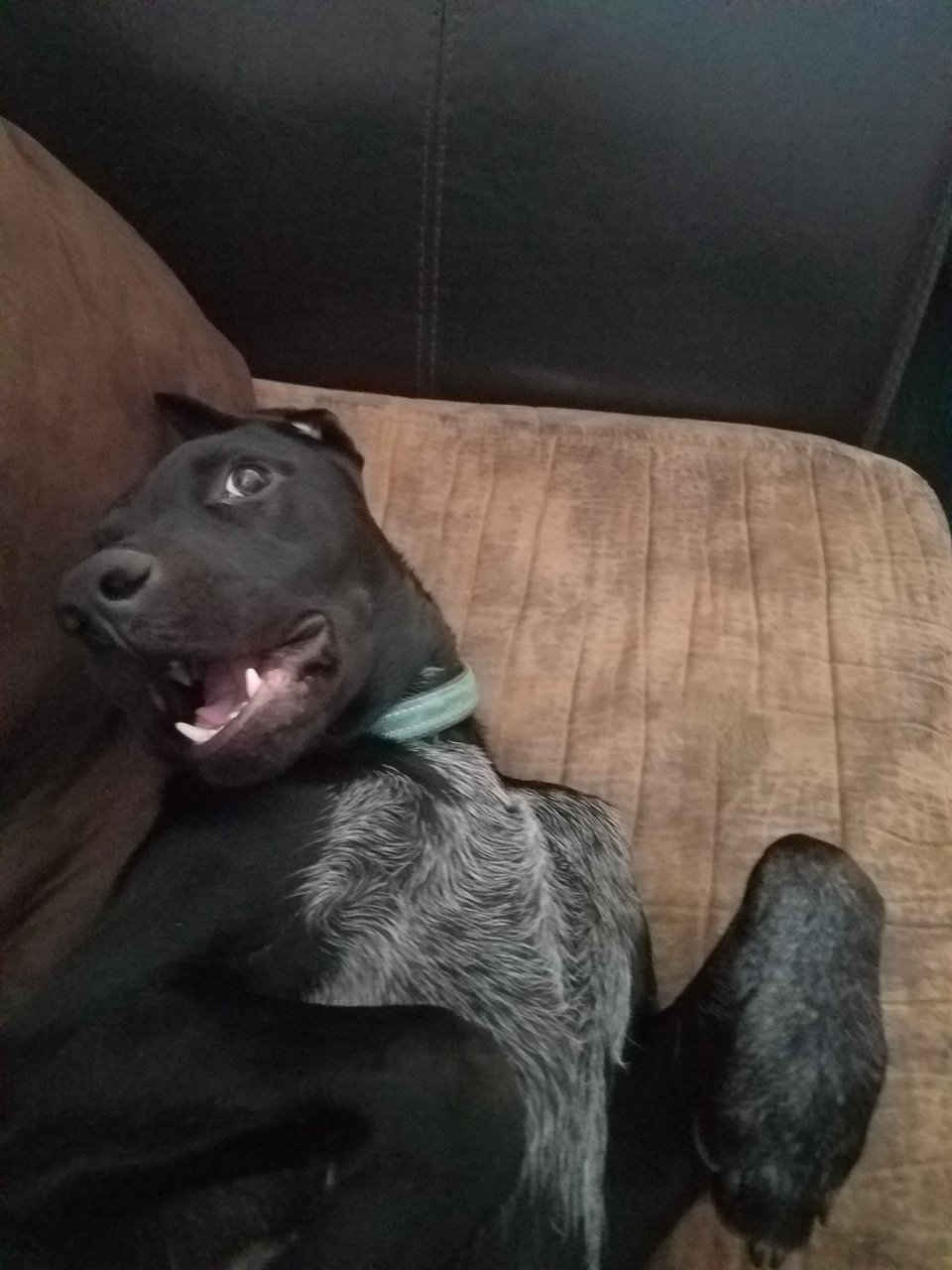 20180827_074958.jpg