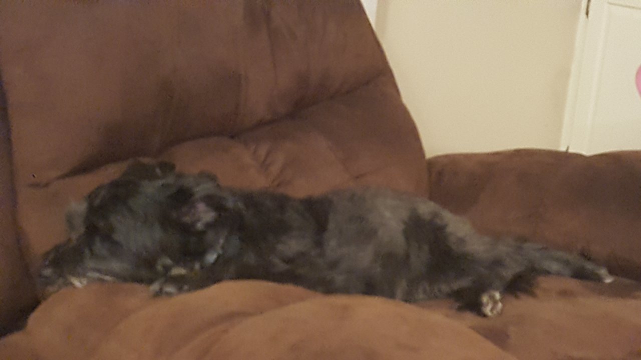 20180827_203039.jpg