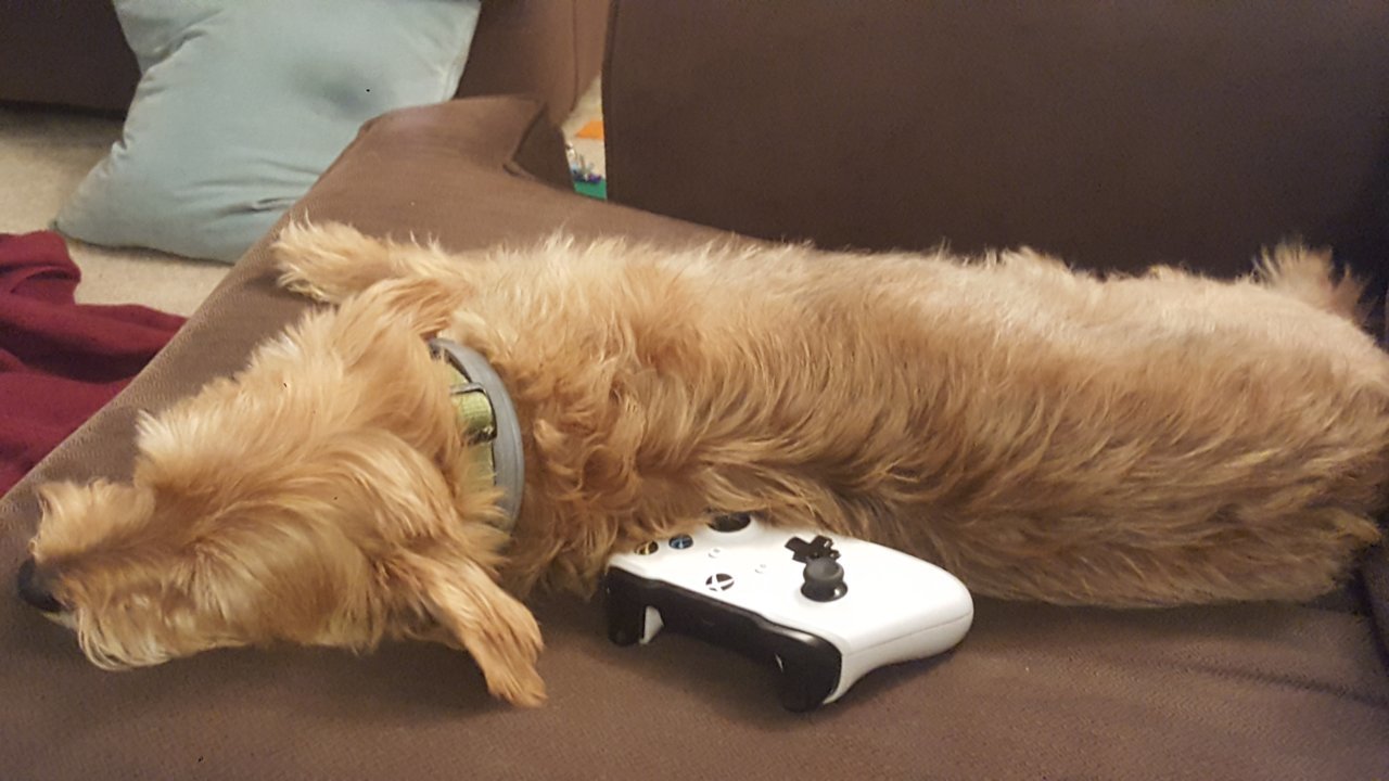 20180827_203123.jpg