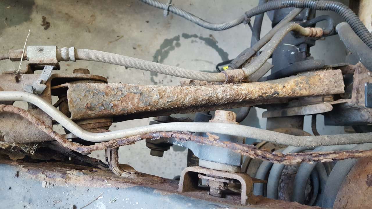 20180828_105529.jpg