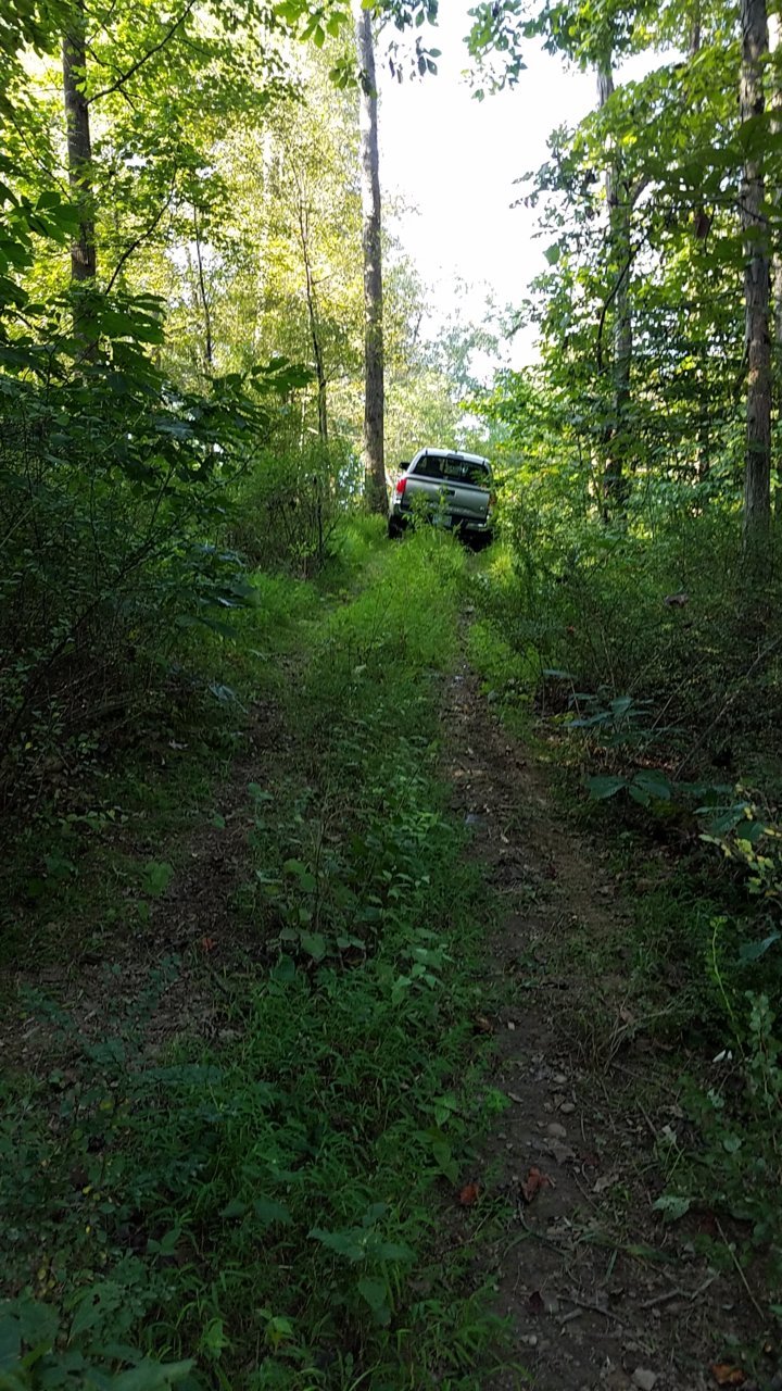 20180828_170708.jpg