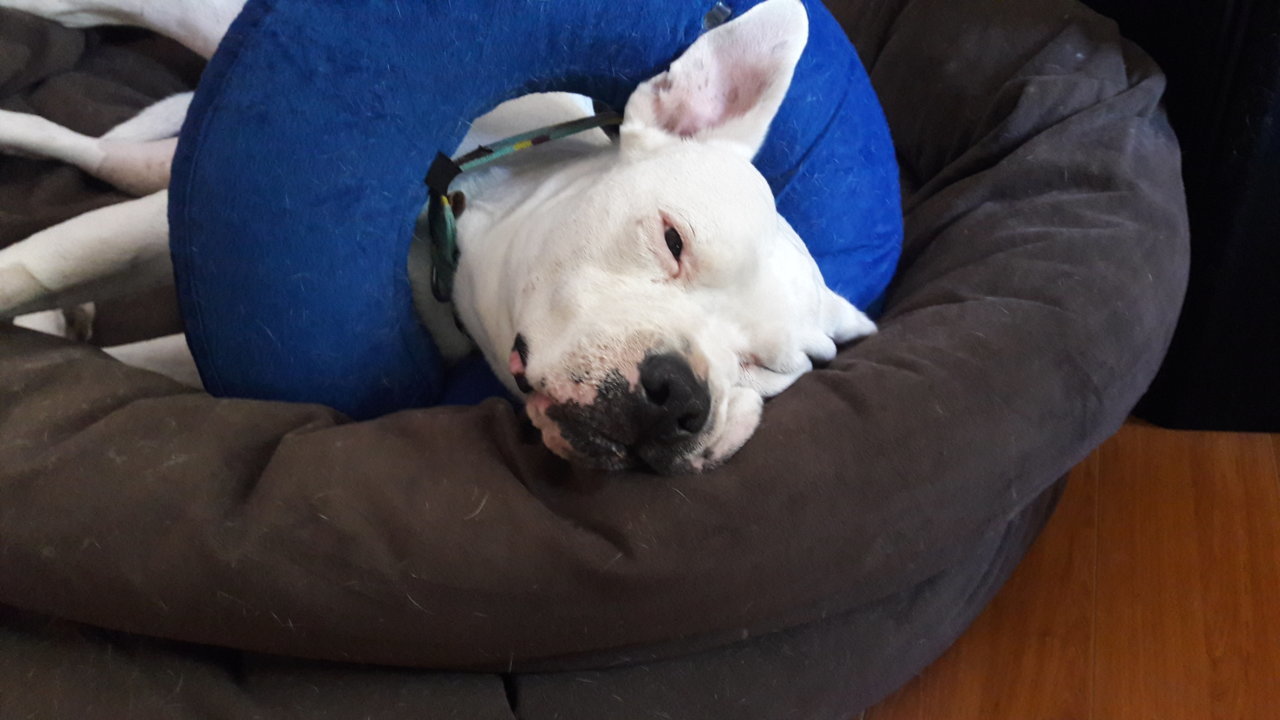 20180829_125444.jpg