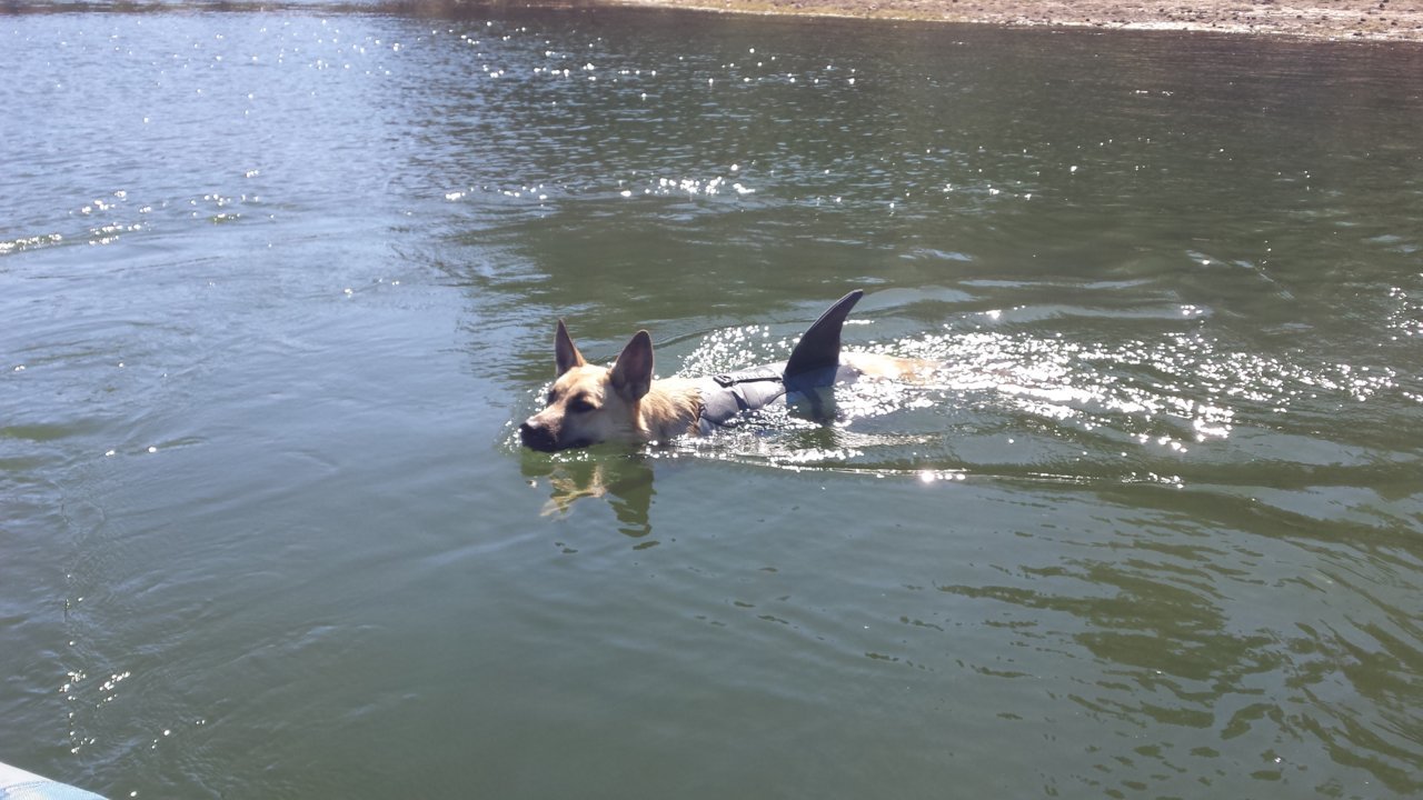 20180830_110305.jpg