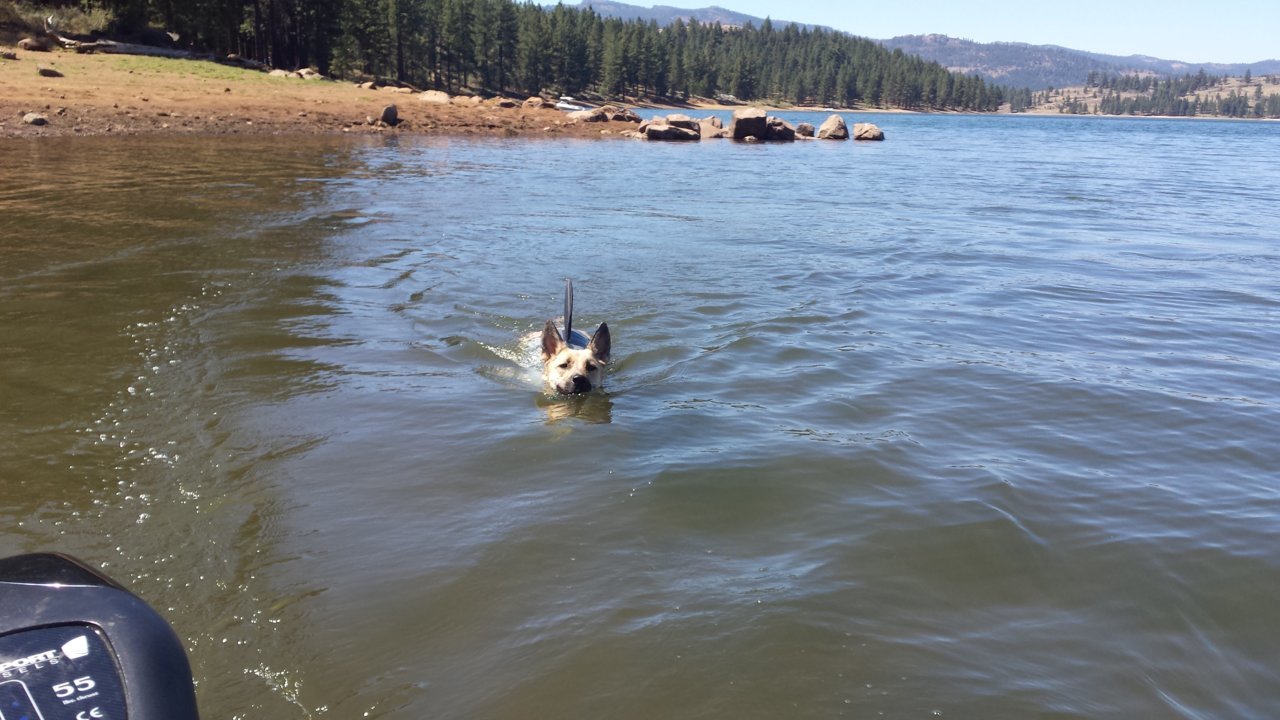20180830_140050.jpg