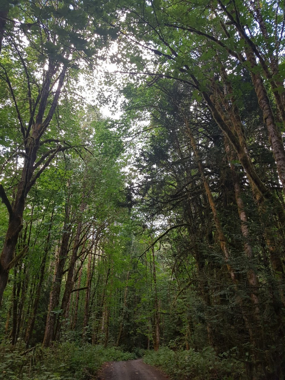 20180830_182000_1.jpg