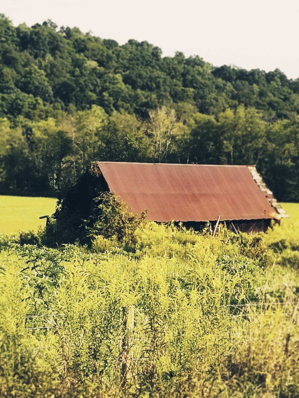 20180831_182605.jpg