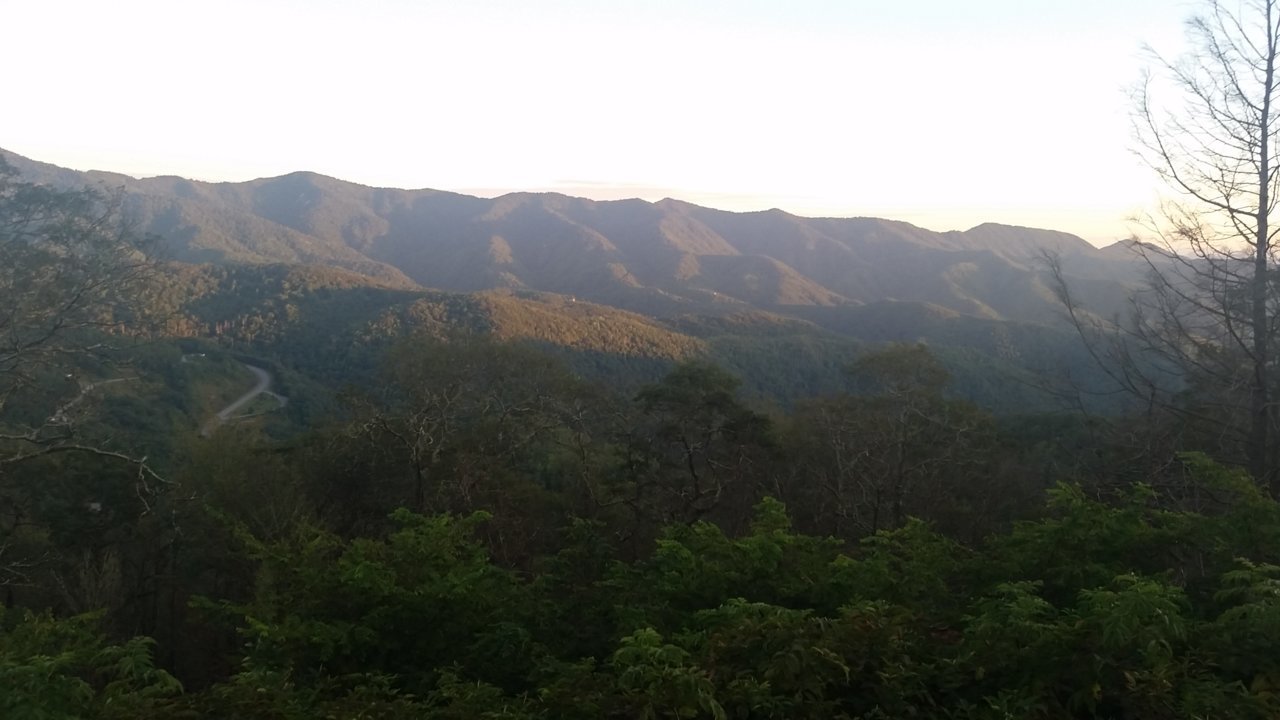 20180831_195232[4272].jpg