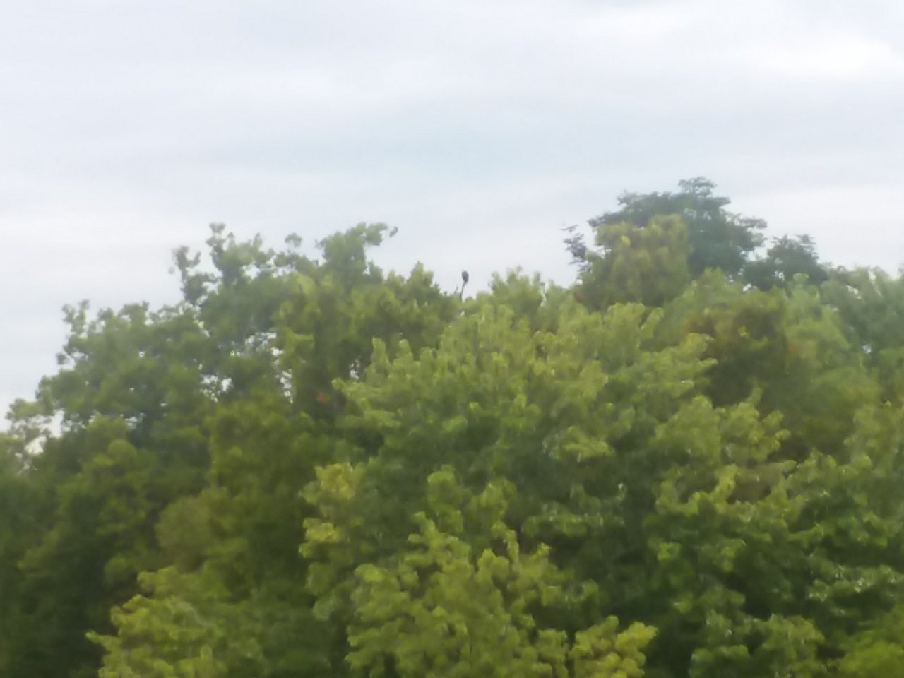20180901_084656.jpg