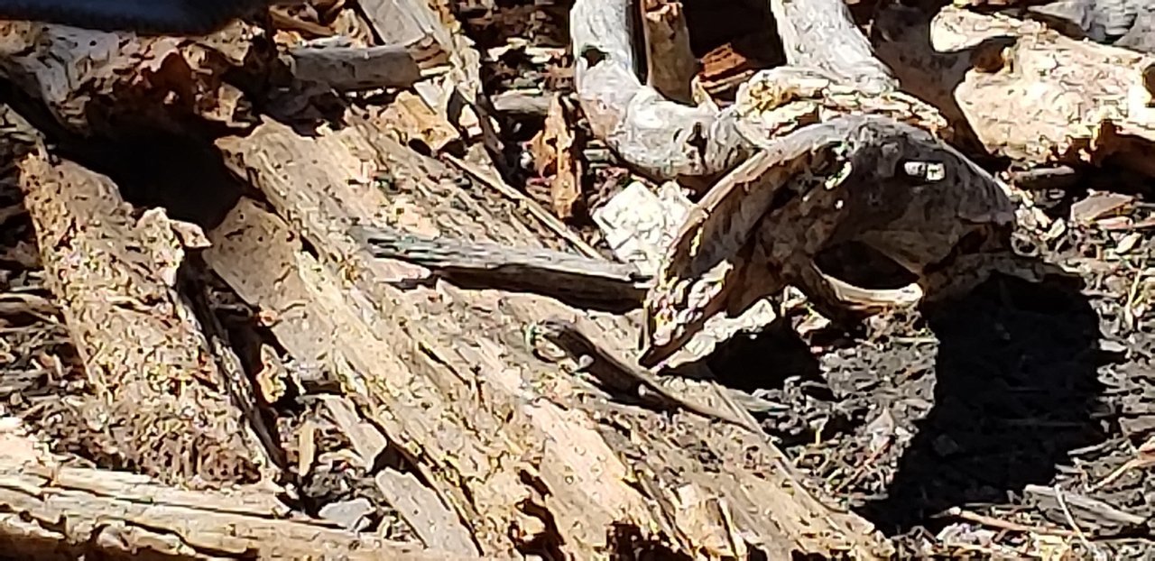 20180901_101217.jpg