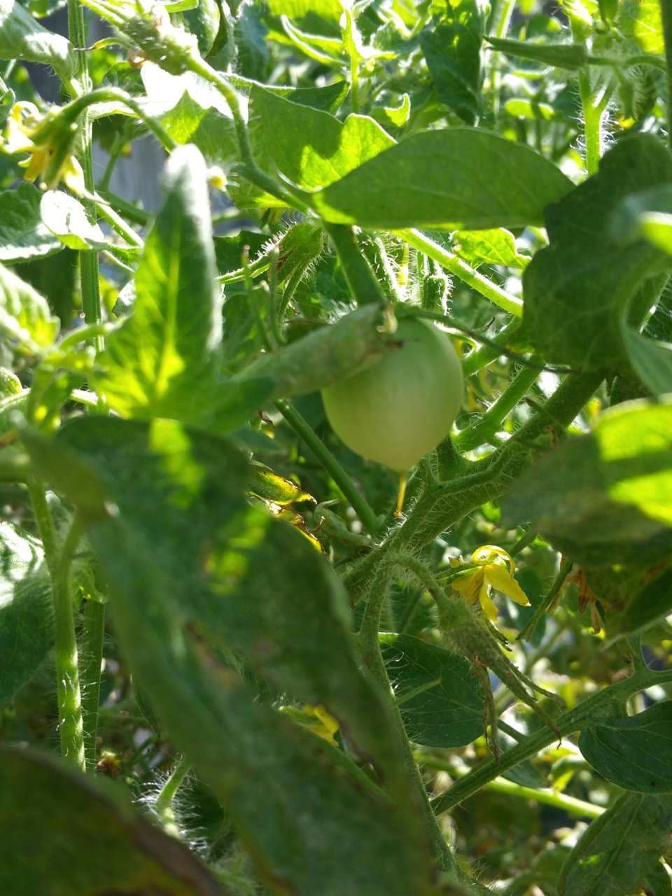 20180901_101312.jpg