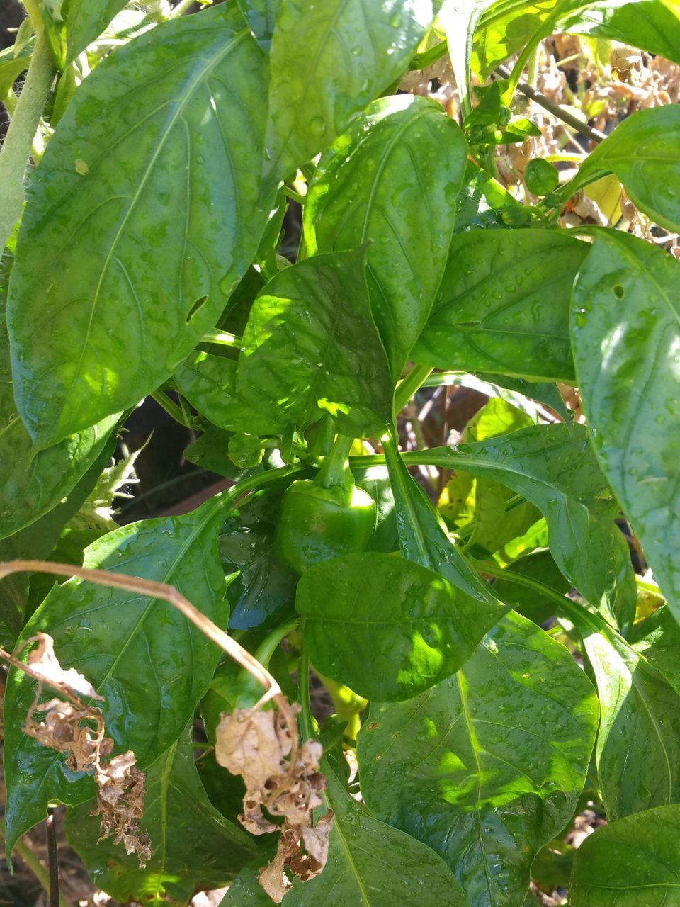 20180901_101410.jpg